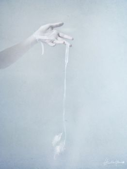 La Tela