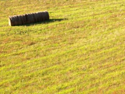 Non pi�, amore  