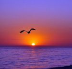 Nel sole
