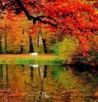 Autunno 1