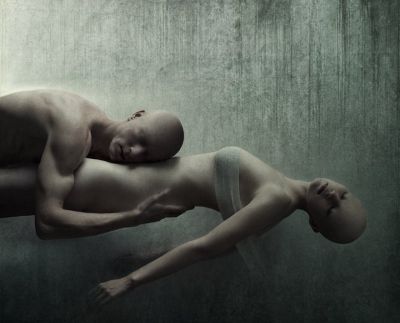Vivere