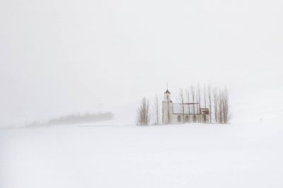 Come neve