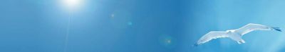 Della luce e del suo mistero