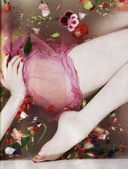 Profumo di rose