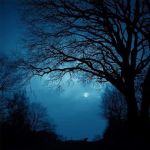 Stelle lontane