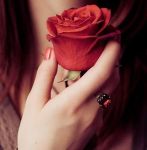 La rosa
