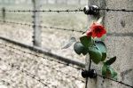 Auschwitz  