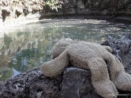 Sogni perduti