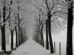 "Rimembranze invernali"