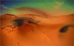 Nel prato deserto