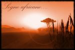 Sognando l�Africa