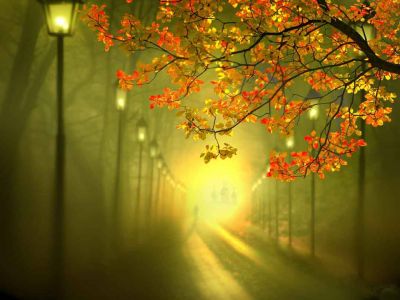 Giochi d�ombre