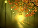 Giochi d�ombre