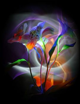 Fiori d�acciaio