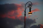 Estremit�