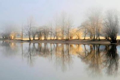 Serenit�