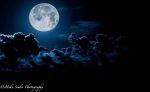 D�amore