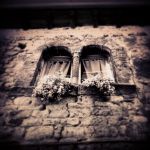 Nell�idillio