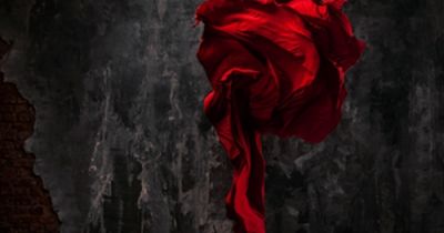 La morte delle rose