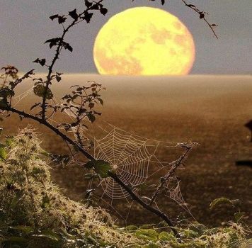 Ottobre