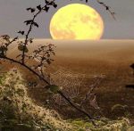 Ottobre