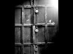 L�angelo cattivo
