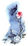 Sguardi d�amore