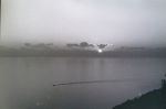 Quiete marina