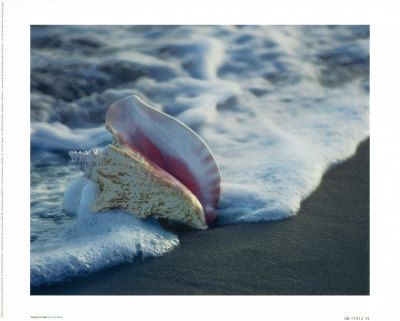 Bacio proibito  