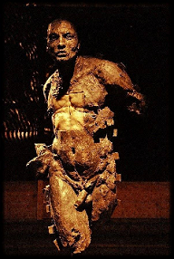 Scheggia impazzita