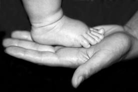 Dono di madre