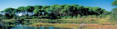 La mia citt�