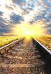 La carcassa al sole  