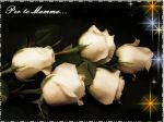 Non dimenticare