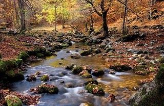 Autunno