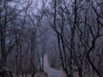 Realt� nascoste  