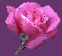 Arriver� a capire