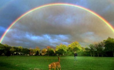 L�arcobaleno  