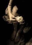 Tu profumo nell�ombra