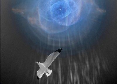 Io sulle ali dell�anima