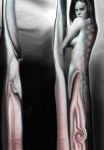 Linee Parallele