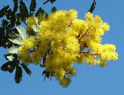 Marzo