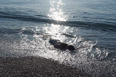 Quella notte!
