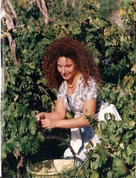 La vendemmia