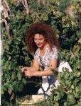 La vendemmia