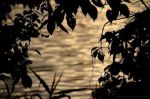 Quando il silenzio � molto pi� delle parole