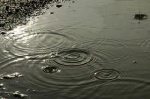 Urler� il silenzio