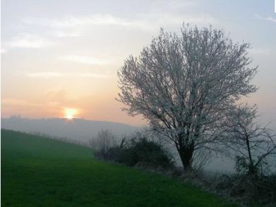 Un giorno di Marzo