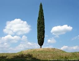 Esistenziale