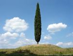 Esistenziale